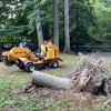 Stump Grinding & Removal Services in Saint Leonard, & Prince Frederick ...